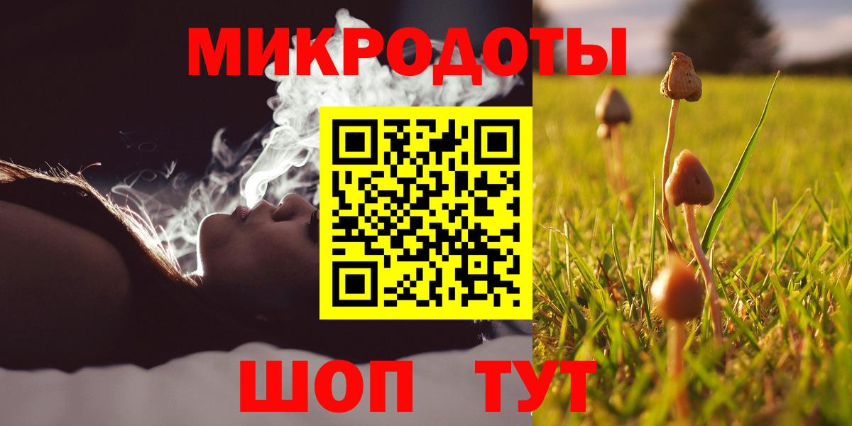 Псилоцибиновые грибы Psilocybe  как найти закладки  Сафоново  Вход с VPN  Псилоцибиновые грибы мицелий 